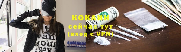 mdpv Киреевск