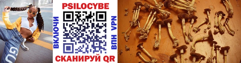 Псилоцибиновые грибы мухоморы  Купить  Барабинск 